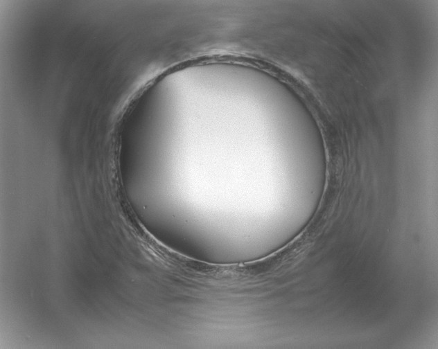 X0000052991359200508051057