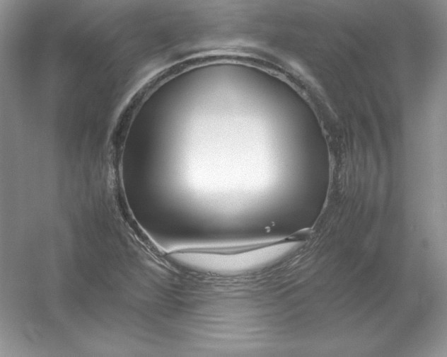 X0000052991360200508051057