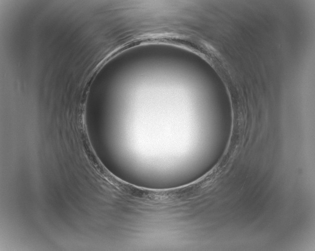 X0000052991361200508051057