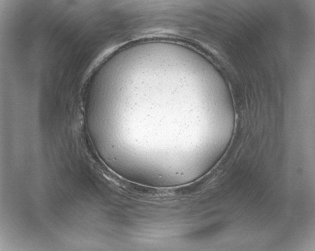 X0000052991363200508051057