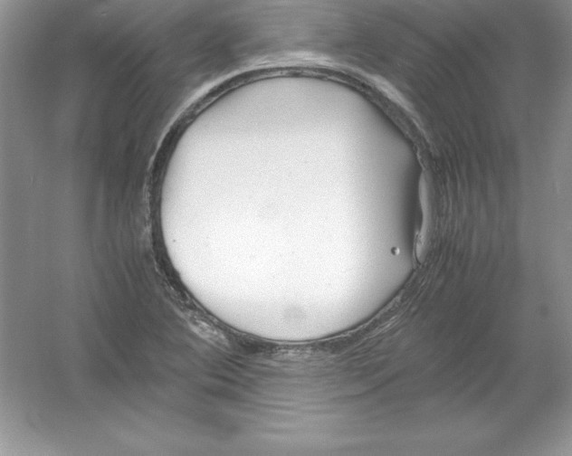 X0000052991364200508051057