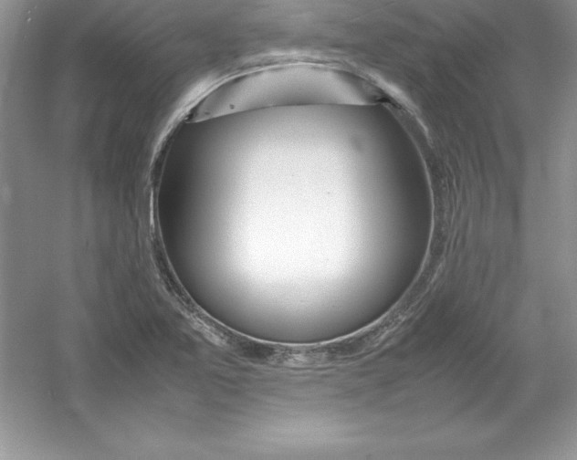 X0000052991365200508051057