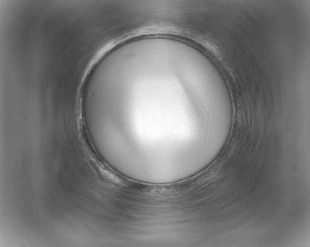 X0000052991366200508051057