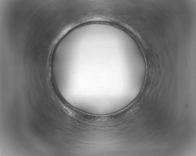 X0000052991367200508051057