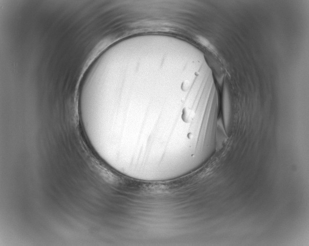 X0000052991370200508051056