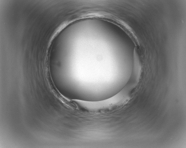 X0000052991373200508051056