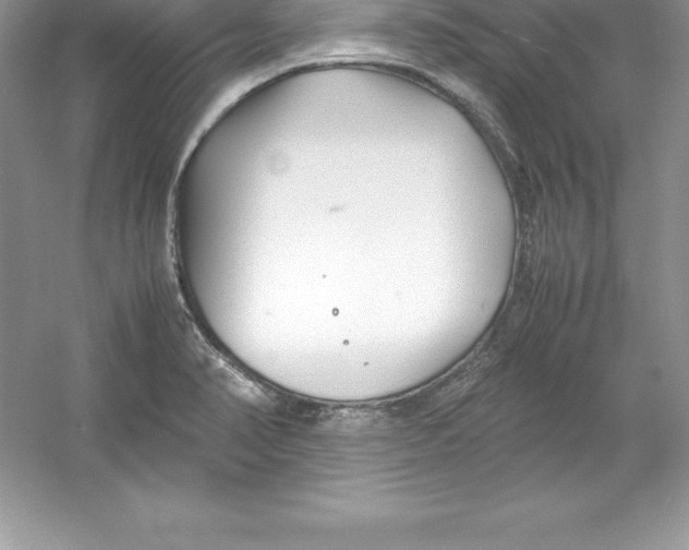 X0000052991374200508051056