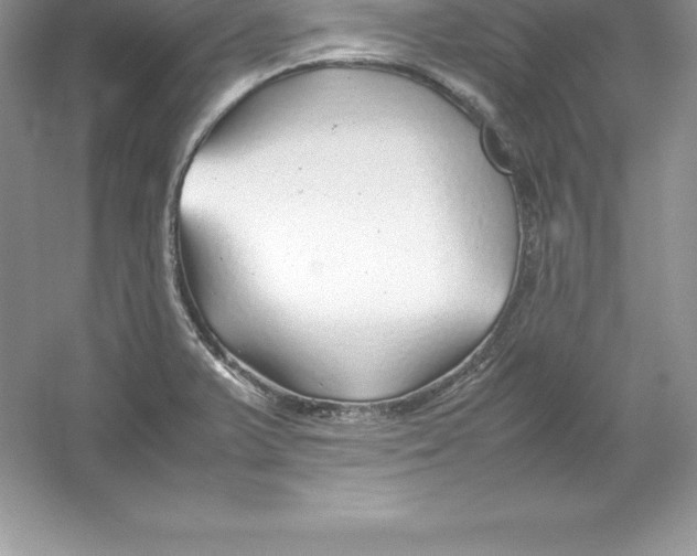 X0000052991375200508051056