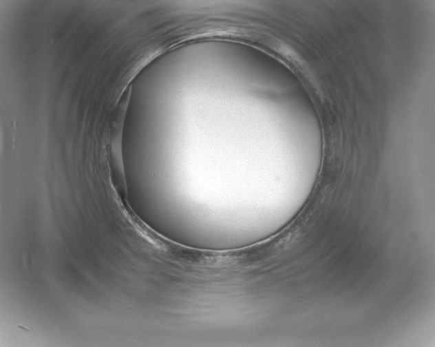 X0000052991377200508051056