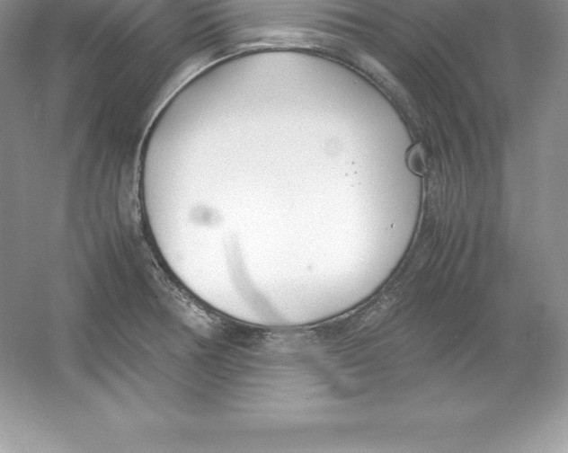 X0000052991378200508051056