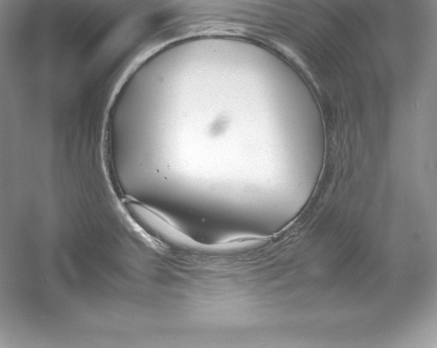 X0000052991379200508051056