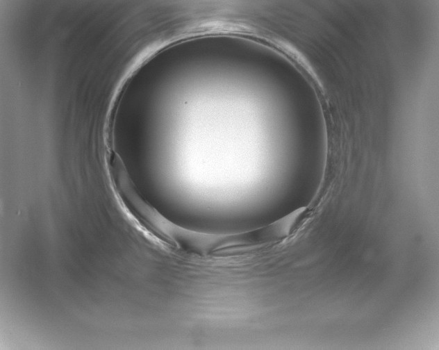 X0000052991381200508051056