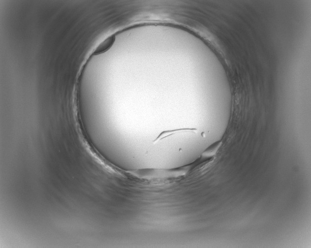 X0000052991382200508051056