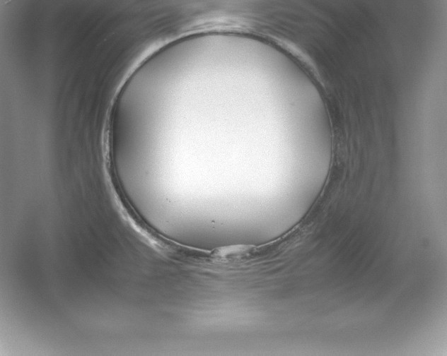 X0000052991383200508051056