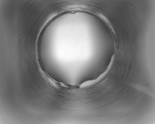 X0000052991384200508051056