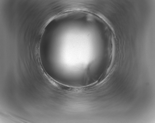 X0000052991385200508051056