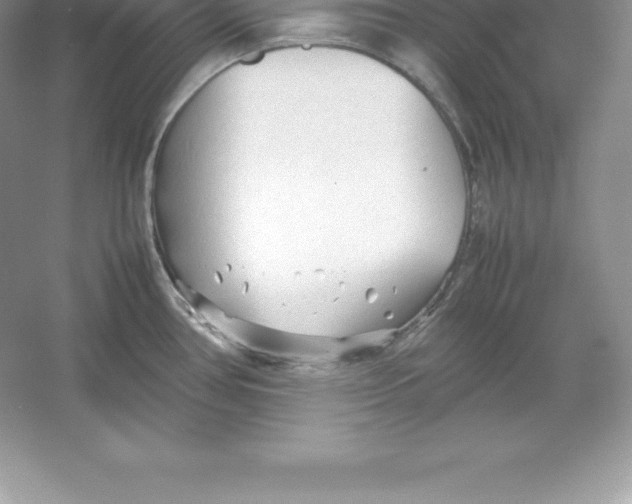 X0000052991386200508051056