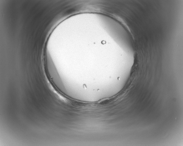 X0000052991387200508051056