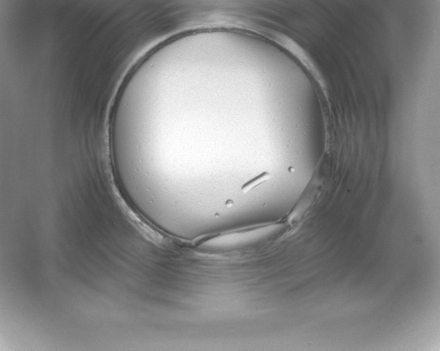 X0000052991388200508051056