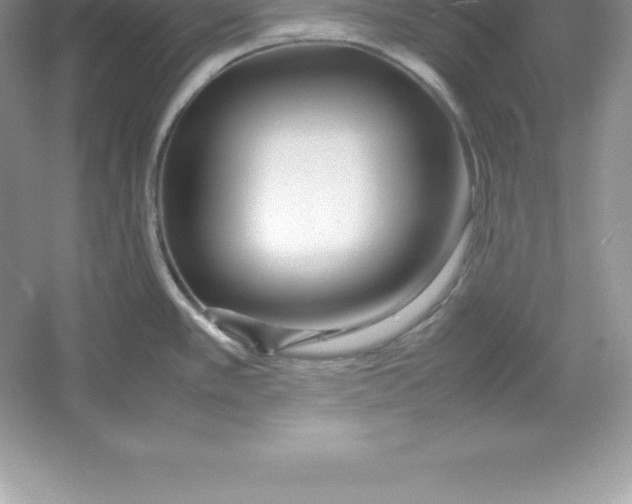 X0000052991389200508051056