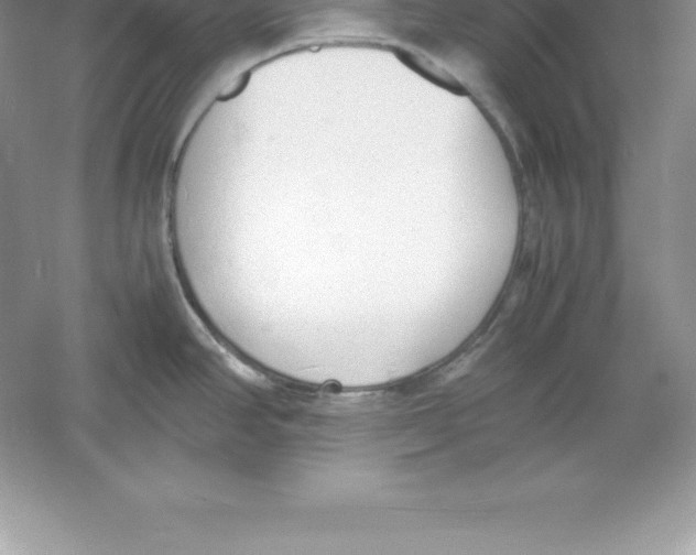 X0000052991390200508051056