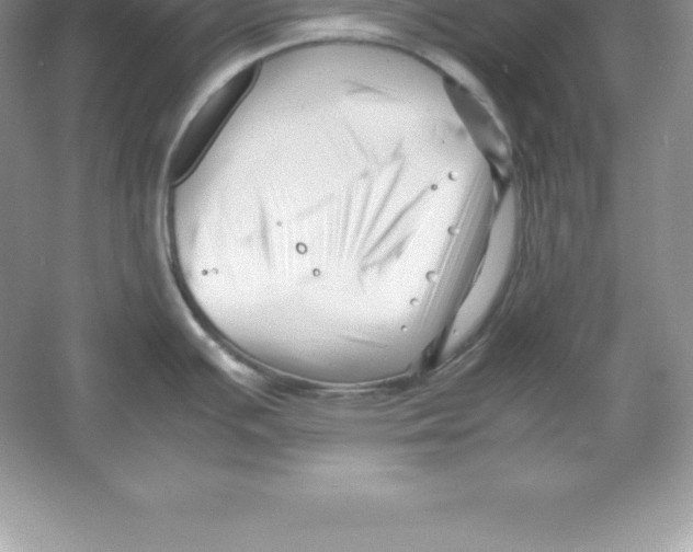 X0000052991391200508051056