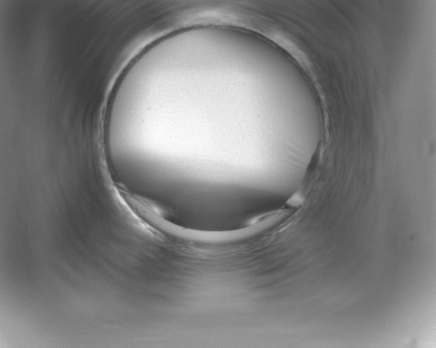 X0000052991392200508051056