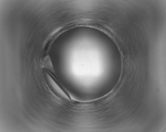 X0000052991402200508051055