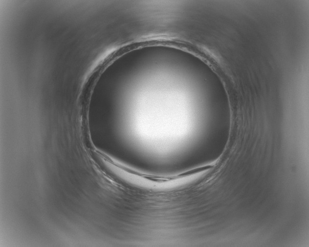 X0000052991406200508051056