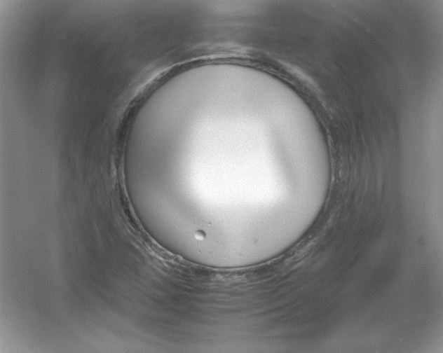 X0000052991407200508051056