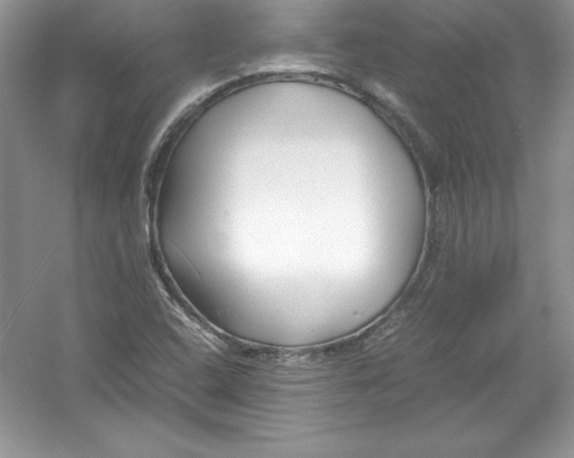 X0000052991408200508051056