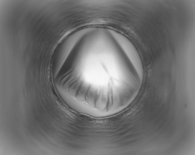 X0000052991409200508051056