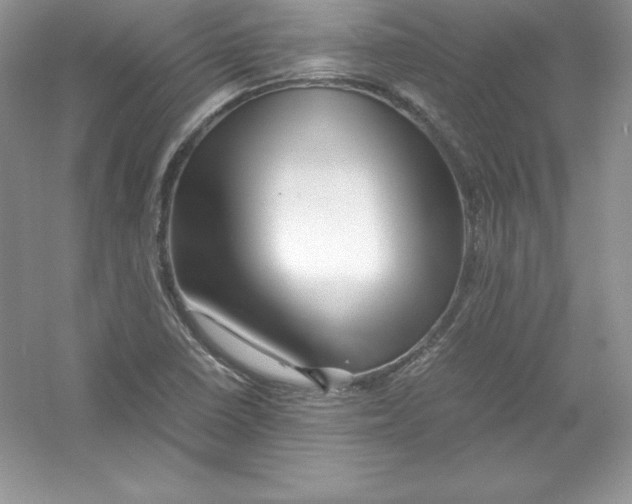 X0000052991410200508051056