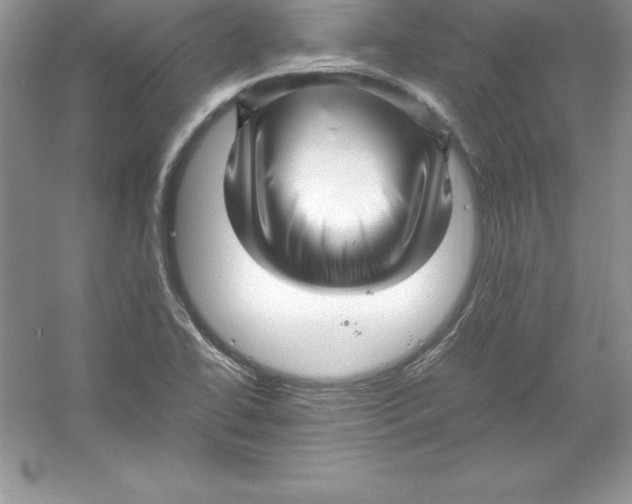 X0000052991414200508051056