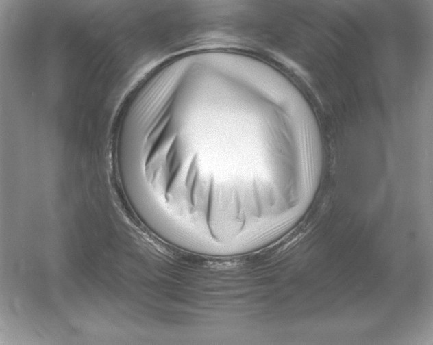 X0000052991415200508051056