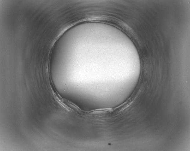 X0000052991417200508051056