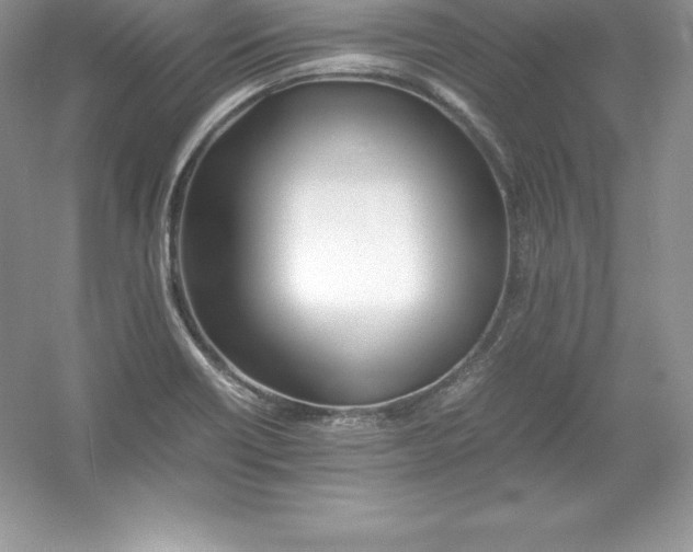 X0000052991418200508051056