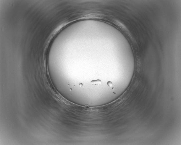 X0000052991419200508051056