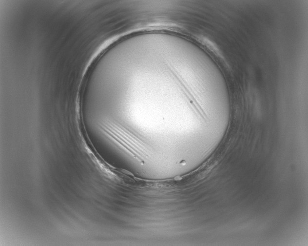 X0000052991420200508051056