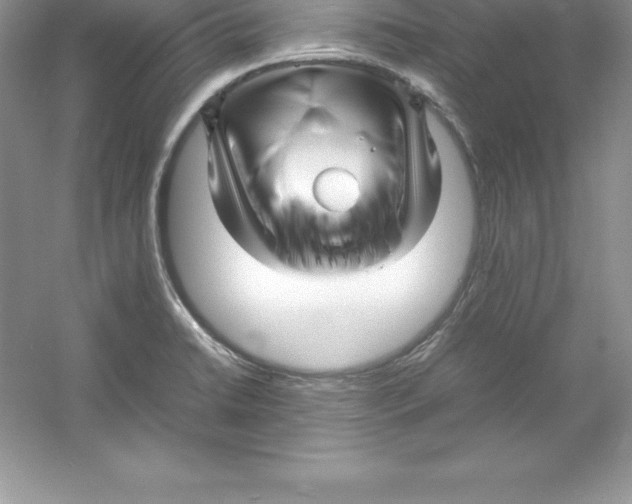 X0000052991422200508051056