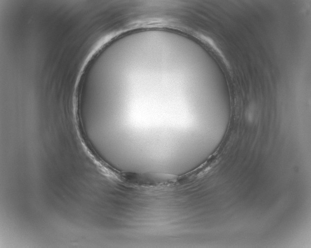 X0000052991424200508051056