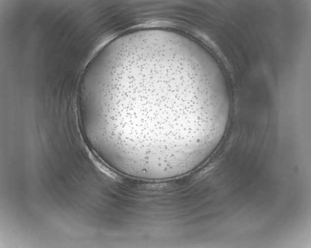 X0000052991425200508051056