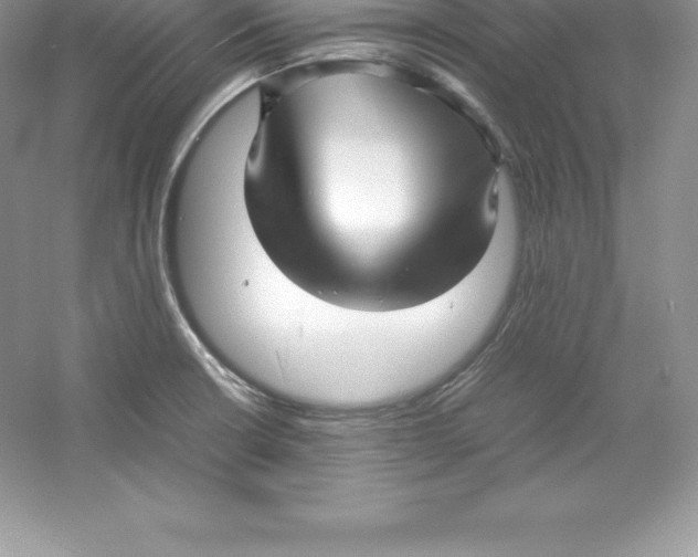 X0000052991426200508051056