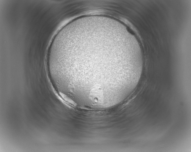 X0000052991429200508051056