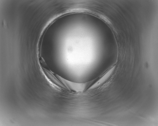 X0000052991430200508051056