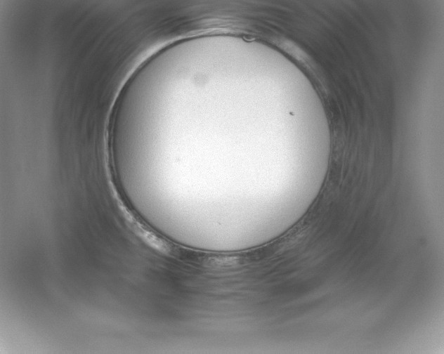 X0000052991431200508051056