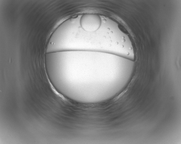 X0000052991433200508051056