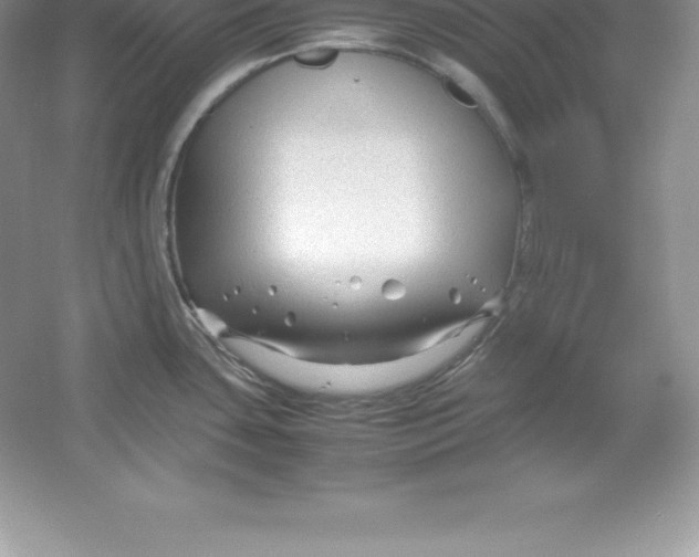 X0000052991435200508051056