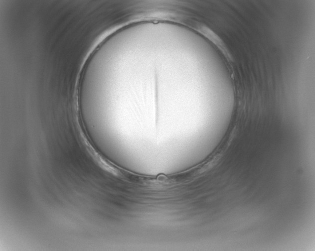 X0000052991436200508051056