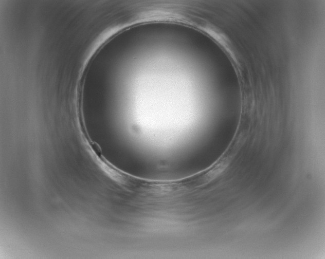 X0000052991438200508051056